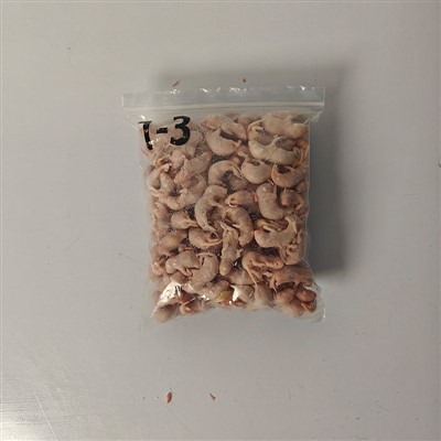 Frozen Rats for University Research Procurement Teams: Ensuring Quality and Compliance