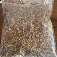 Viermi de masă uscat organic